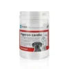 AIKA Vigoron Cardio - sydämen toiminnan tukemiseen koirille 170 g
