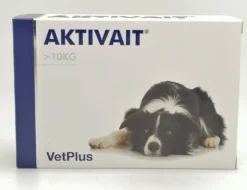 Aktivait Medium >10kg - Täydennysrehuvalmiste koirille 60 tabl.