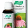 A.Vogel Echinaforce Punahattu-uute 100 ml
