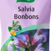 A.Vogel Salvia Bonbons - Salvia-pastilli 75 g