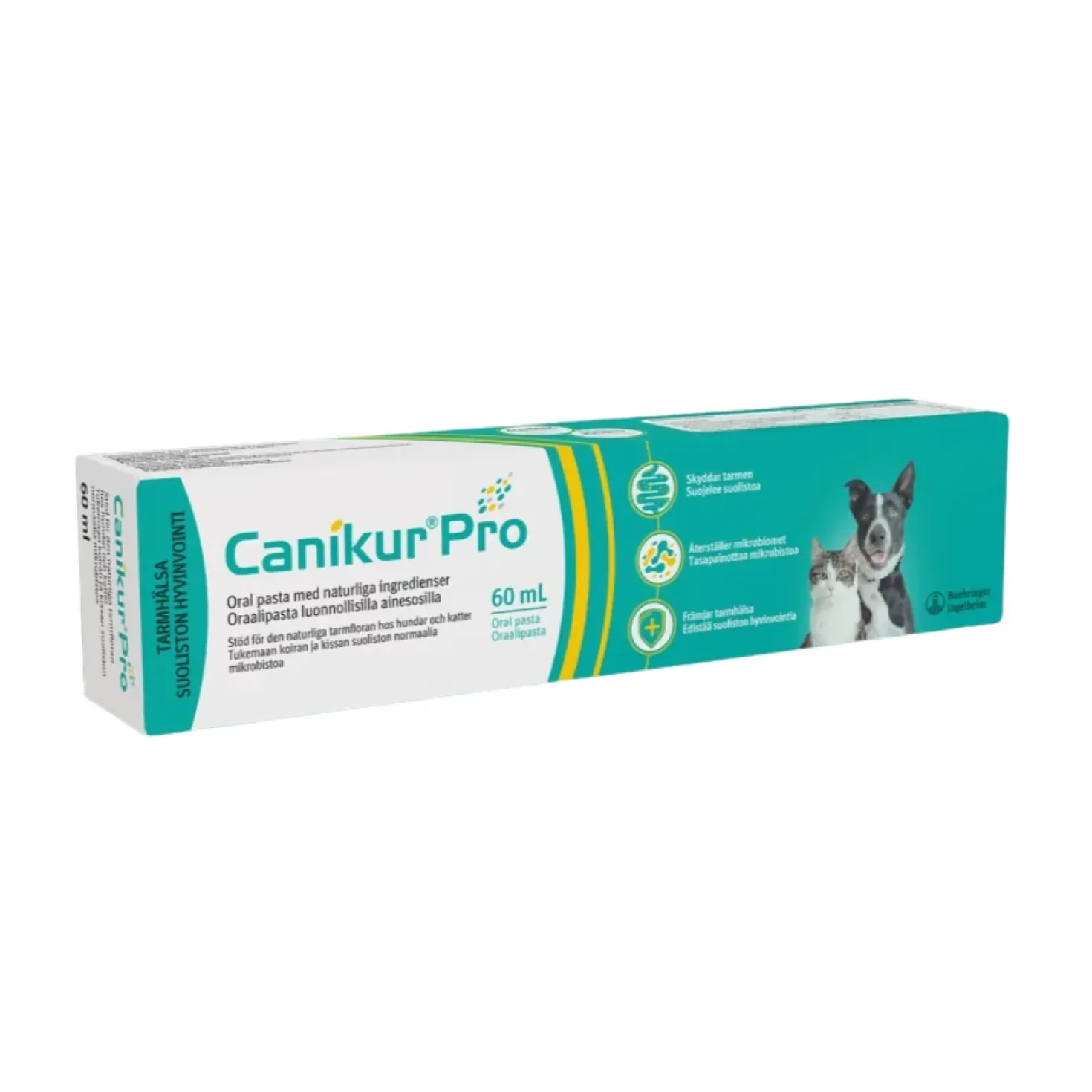 Canikur Pro Pasta Täydennysrehu 60 ml