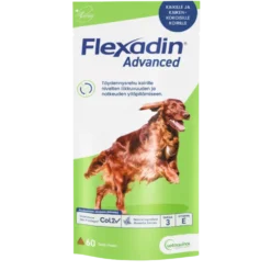 Flexadin Advanced 60 purutablettia koirille