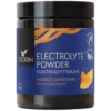 Foodin Elektrolyyttijauhe Mango-Mandariini 120 g - Päiväys 03/2027