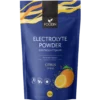 Foodin Elektrolyyttijauhe Sitrus 240 g - erä