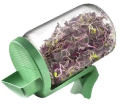 Germline Idätysastia Lasinen