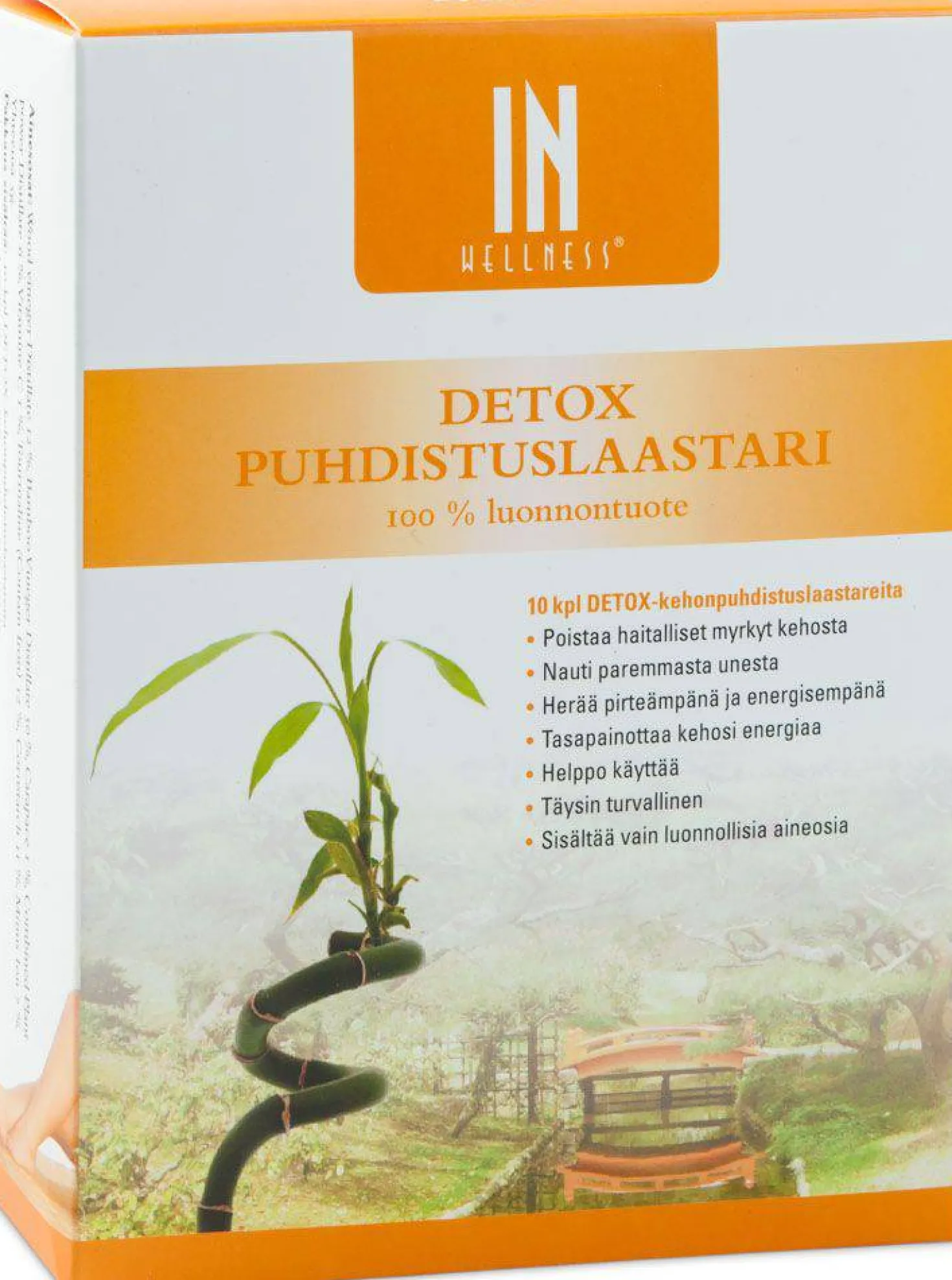 In Wellness Detox Puhdistuslaastari 10 kpl