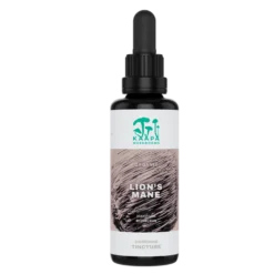 KÄÄPÄ Mushrooms Lion's Mane Tinktuura 30 ml
