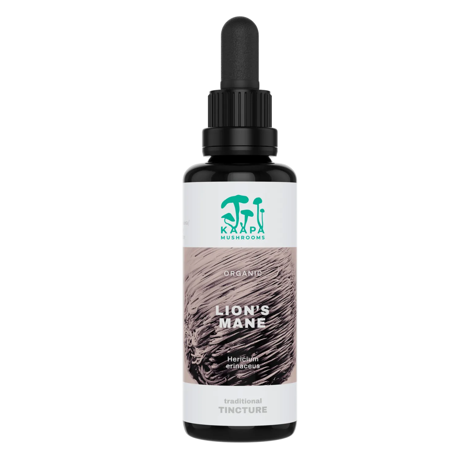 KÄÄPÄ Mushrooms Lion's Mane Tinktuura 30 ml