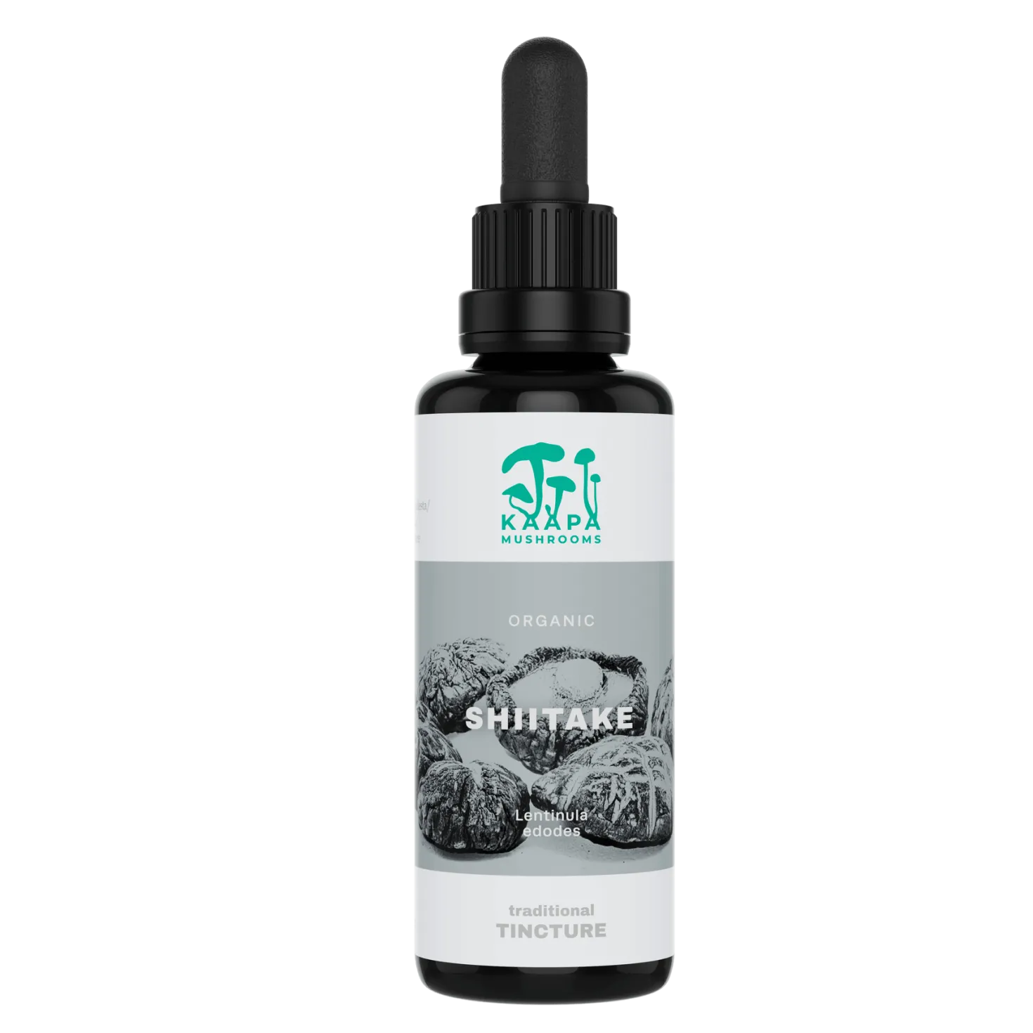KÄÄPÄ Mushrooms Shiitake Tinktuura 30 ml