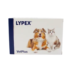 Lypex - Täydennysrehuvalmiste koirille ja kissoille 60 kaps.