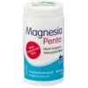 Magnesia Penta - magnesiumkapseli 100 kaps.
