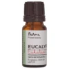 Nurme Eucalyptus Essential Oil - Eucalyptus eteerinen öljy 10 ml