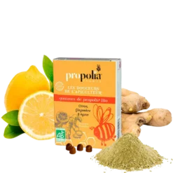 Propolia Propolispastillit Sitruuna & Inkivääri 45 g