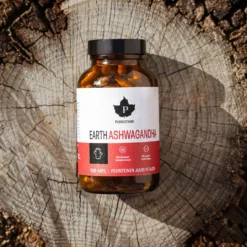 Puhdistamo Earth Ashwagandha 120 kaps.