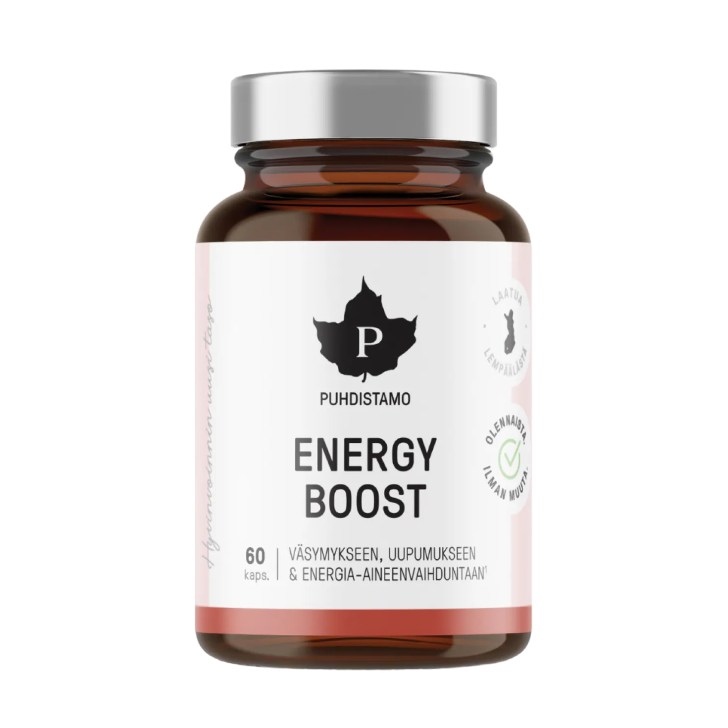 Puhdistamo EnergyBoost 60 kaps.