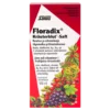 Salus Floradix Rauta ja Vitamiinivalmiste 500 ml