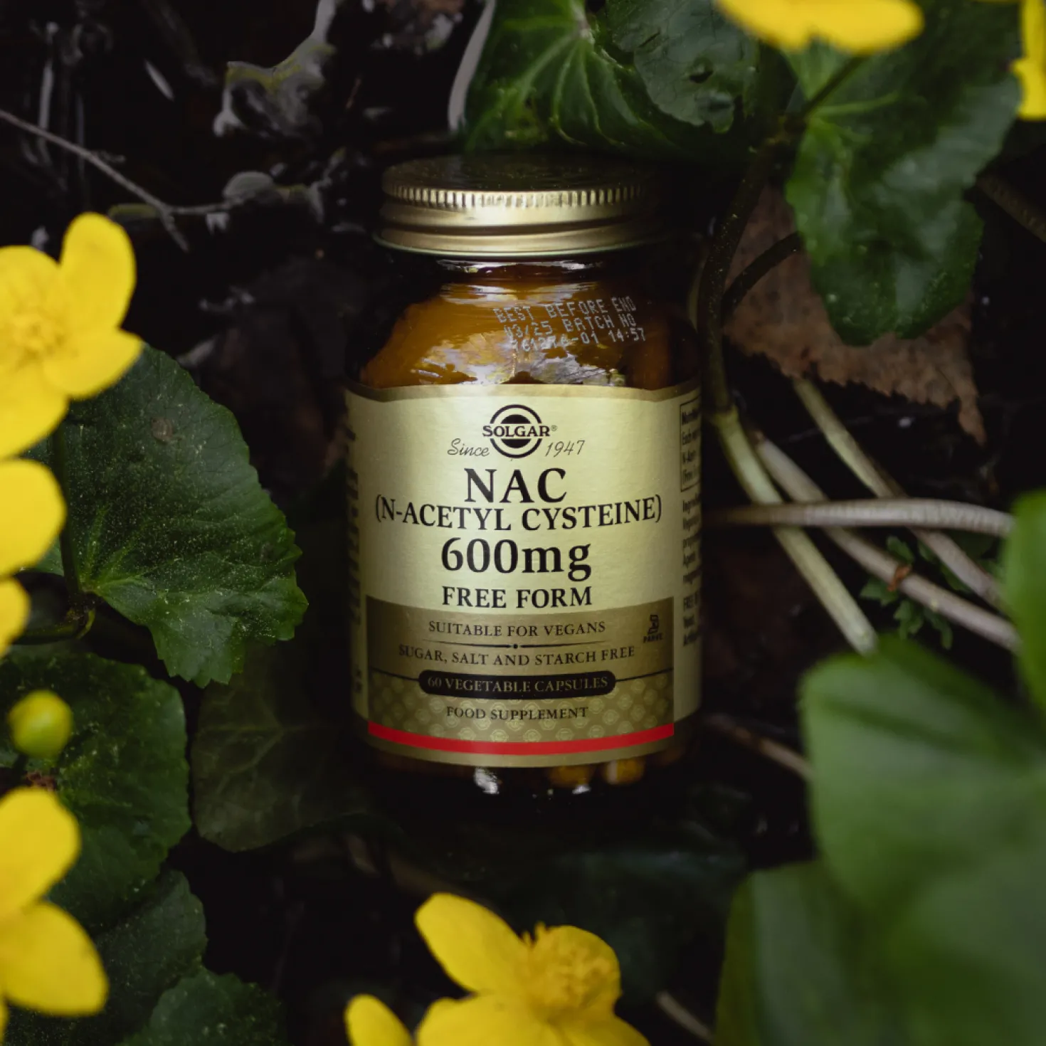 Solgar NAC 600 mg - Aminohappovalmiste 60 kaps.