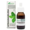 Soria Natural Sitruunamelissauute 50 ml