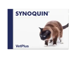 Synoquin Cat - Täydennysrehu kissoille 30 kaps.