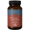 Terranova Chaga Full Spectrum 500 mg - Pakurikääpä 50 kaps.