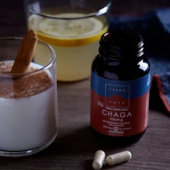 Terranova Chaga Full Spectrum 500 mg - Pakurikääpä 50 kaps.