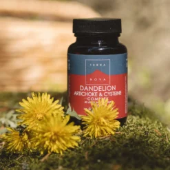 Terranova Dandelion - Voikukka, Artisokka & Kysteiini Complex 50 kaps.