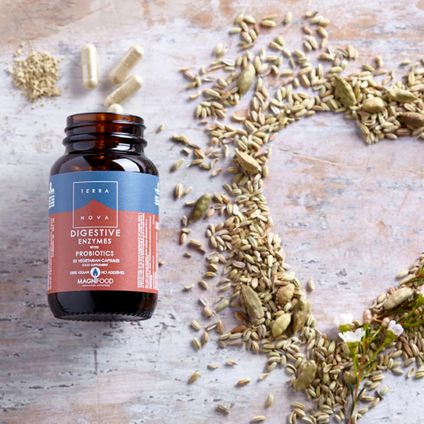 Terranova Digestive Enzymes With Probiotics 50 kaps. - HUOM Päiväys 01/2027