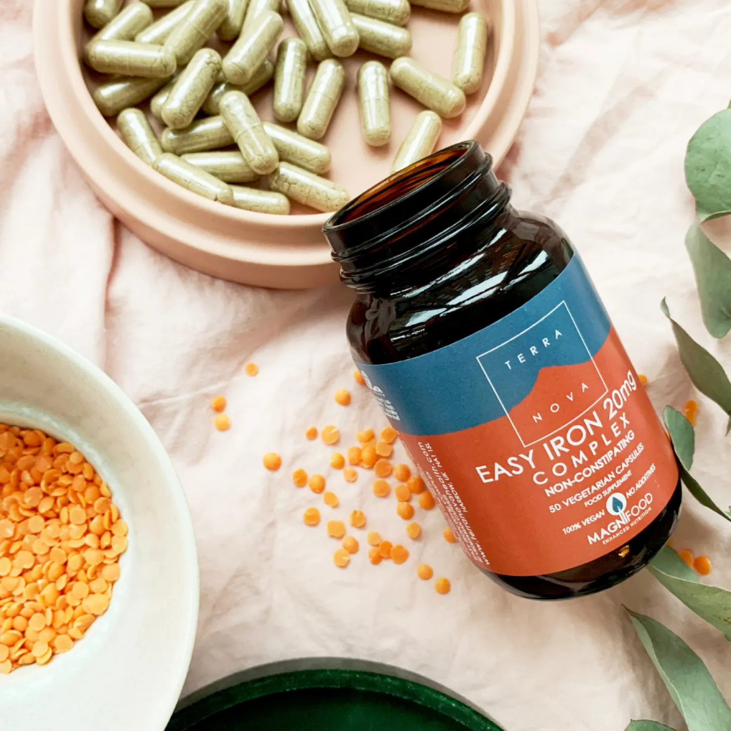 Terranova Easy Iron 20 mg Complex - Rauta- kasvivalmiste 50 kaps.