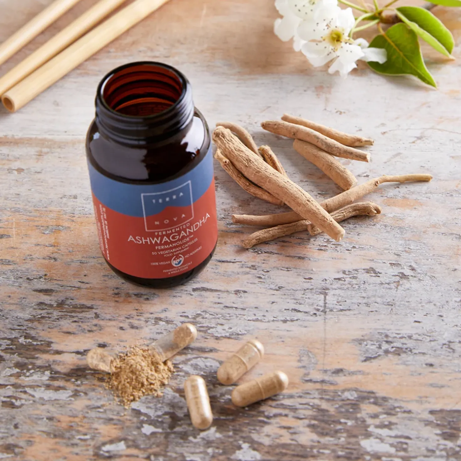 Terranova Fermented Ashwagandha - Fermentoitu ashwagandha 50 kaps.