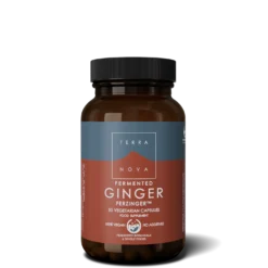 Terranova Fermented Ginger - Fermentoitu inkivääri 50 kaps.