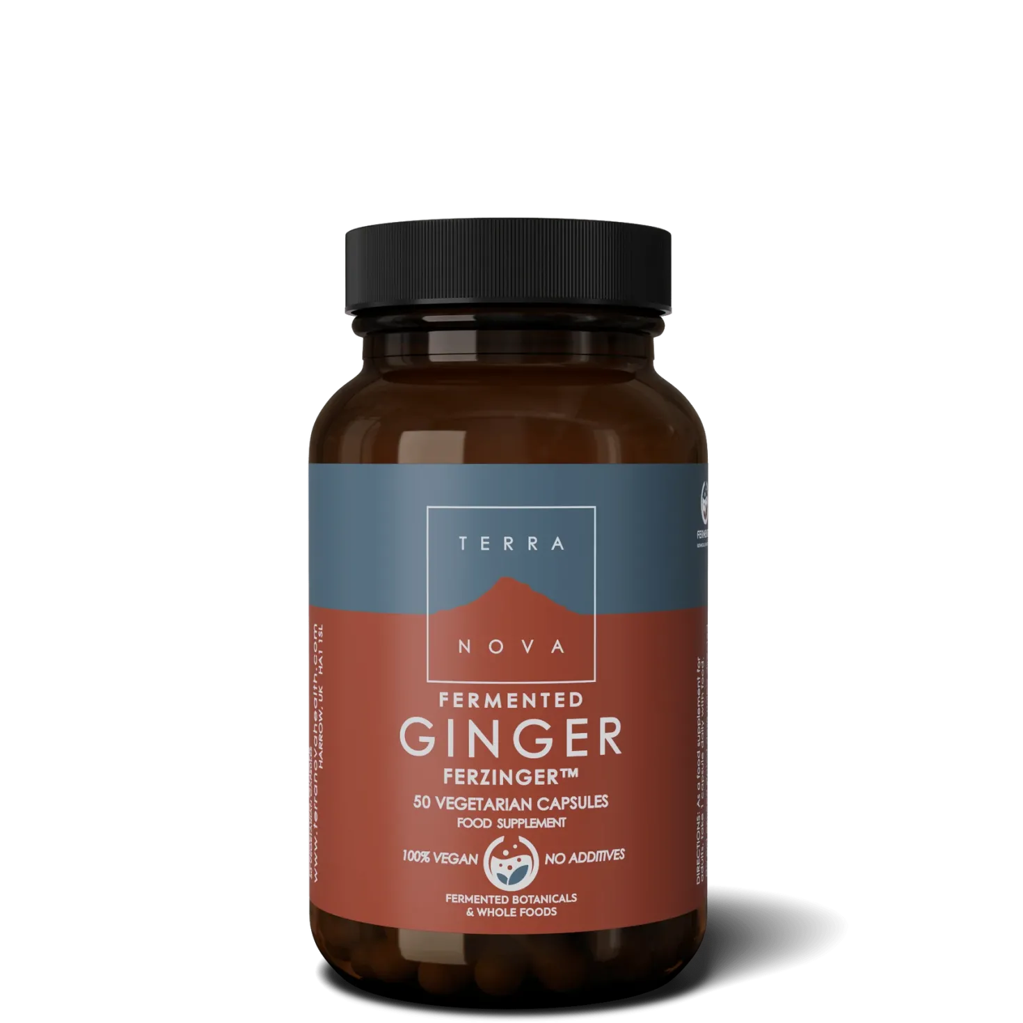 Terranova Fermented Ginger - Fermentoitu inkivääri 50 kaps.