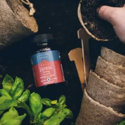 Terranova Lutein - Luteiini 20 mg 50 kaps.