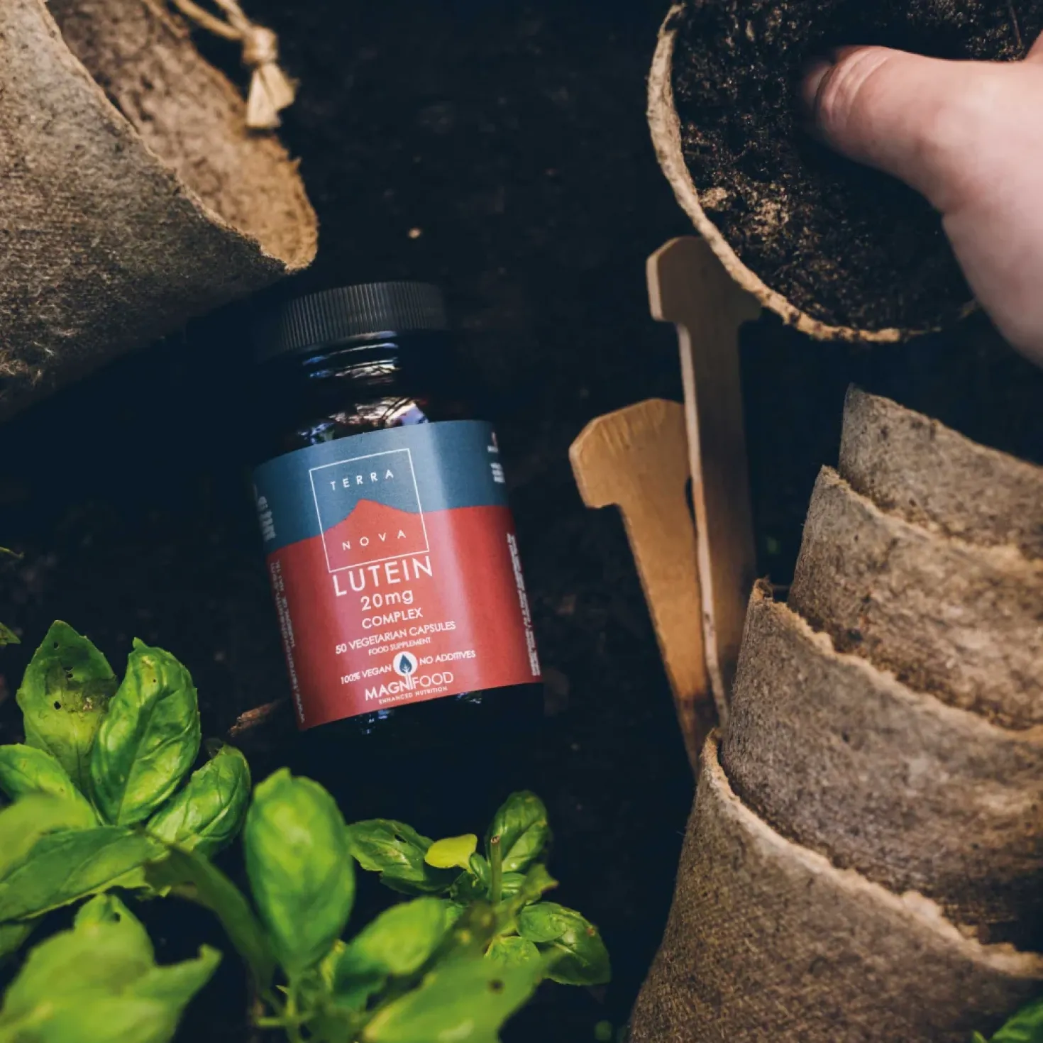 Terranova Lutein - Luteiini 20 mg 50 kaps.
