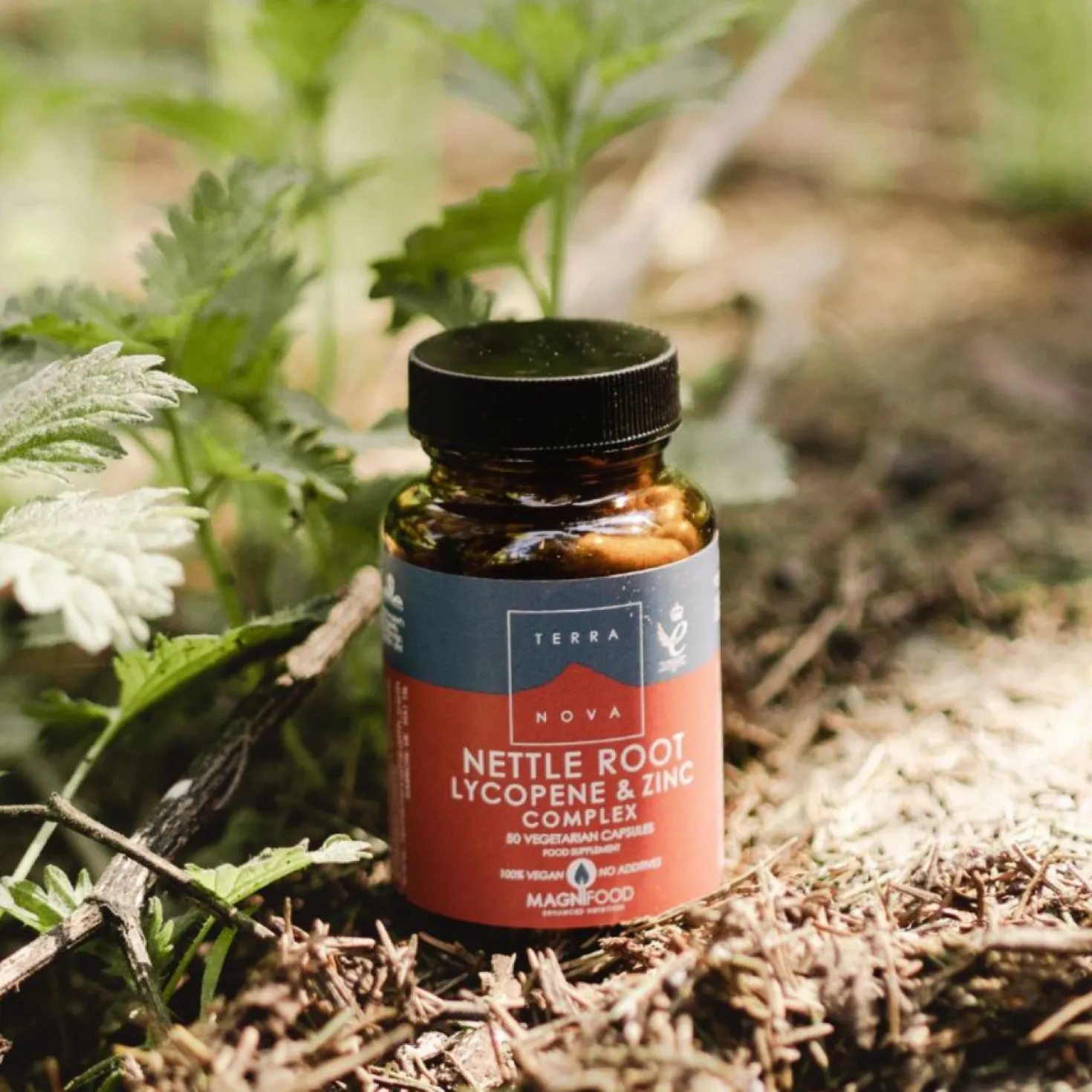 Terranova Nettle Root Lycopene & Zinc - Nokkosenjuuri, Lykopeeni ja sinkki 50 kaps.