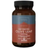 Terranova Olive Leaf 450 mg - Oliivinlehti 50 kaps.