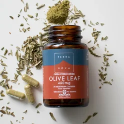 Terranova Olive Leaf 450 mg - Oliivinlehti 50 kaps.
