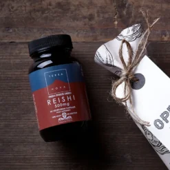 Terranova Reishi 500 mg - Sienivalmiste 50 kaps.